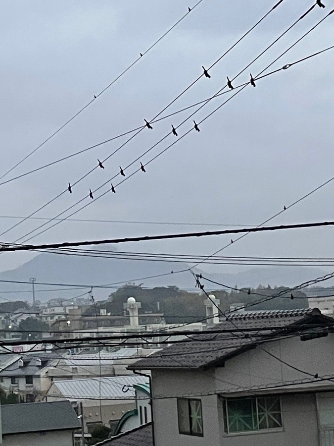 おはようございます(о´∀`о)