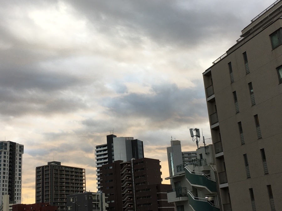 12/2 朝空