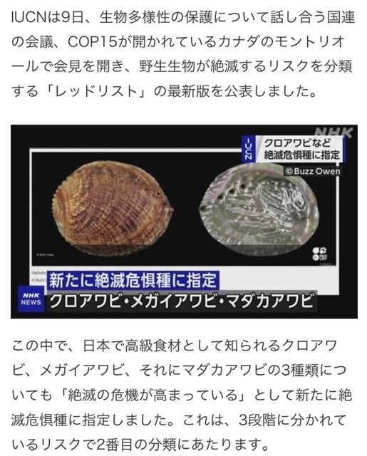 🐚絶滅危惧種