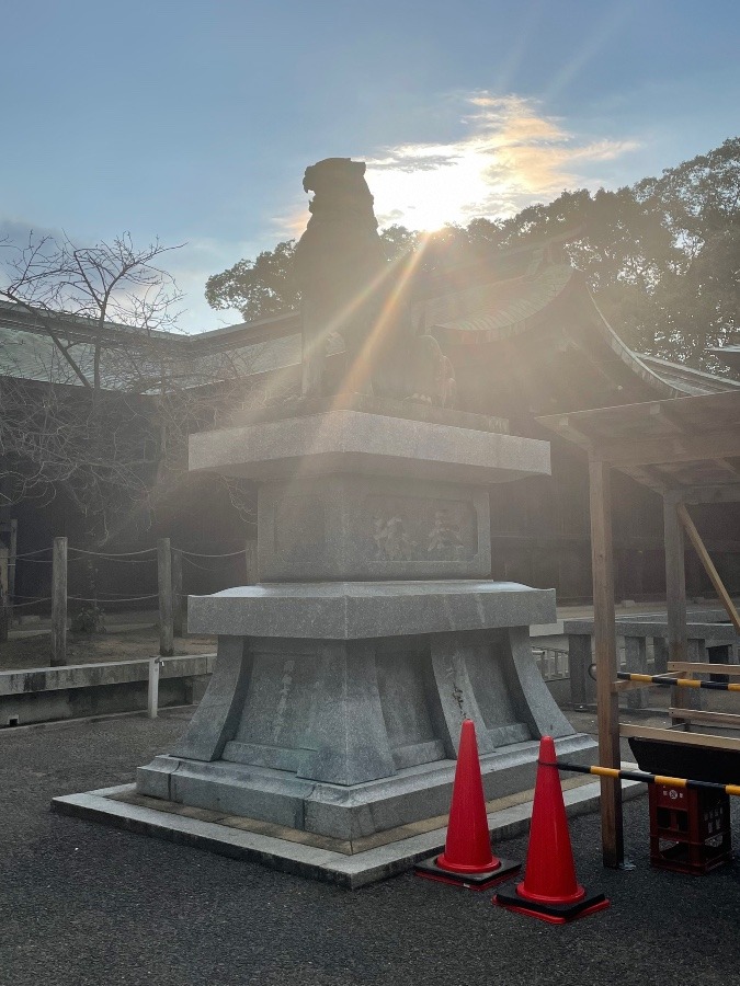 宮地嶽神社狛犬さん