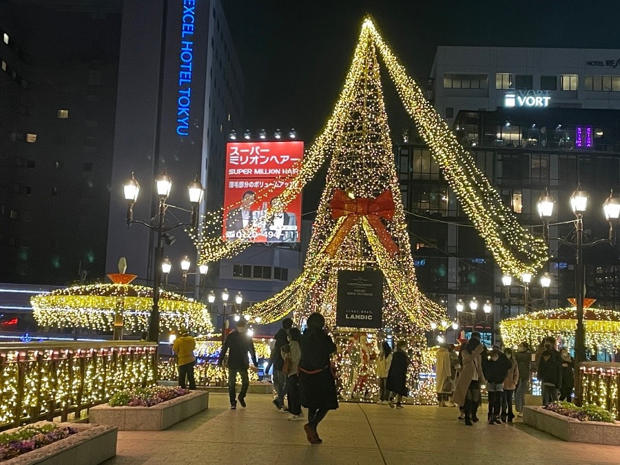 橋のイルミネーション✨✨