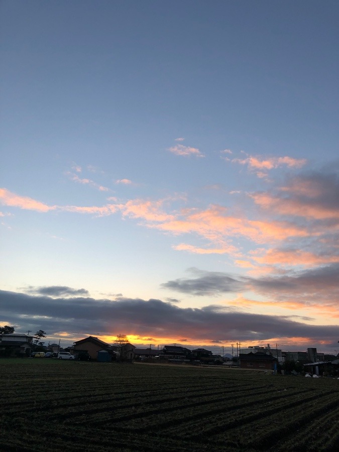 今日の朝陽