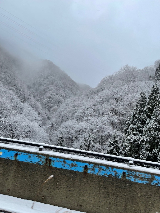 山形の山は雪