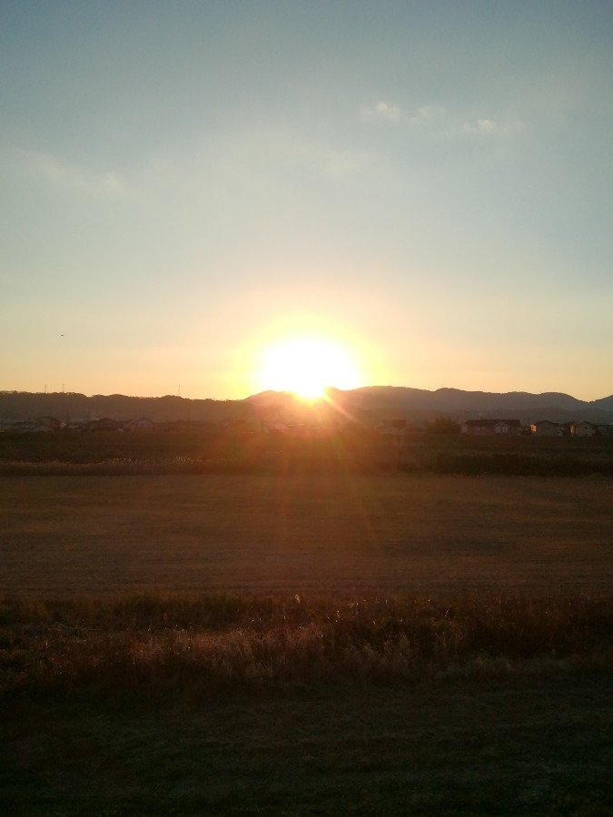 今朝の空