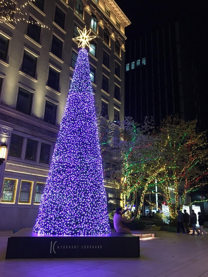 京橋エドグランのツリー（夜！）