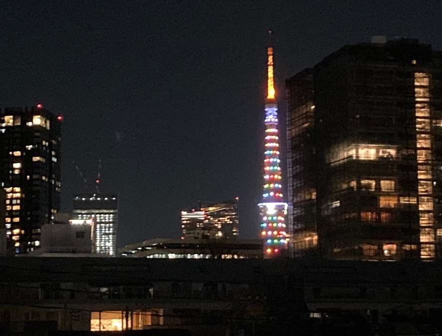 今日の東京タワー🗼