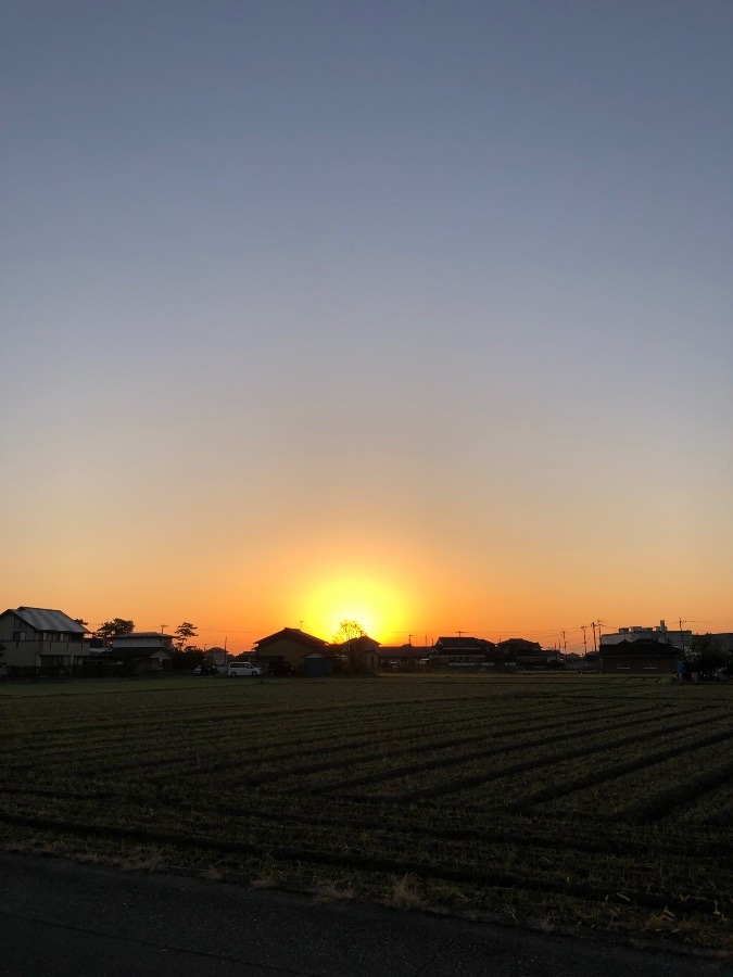 今日の朝陽