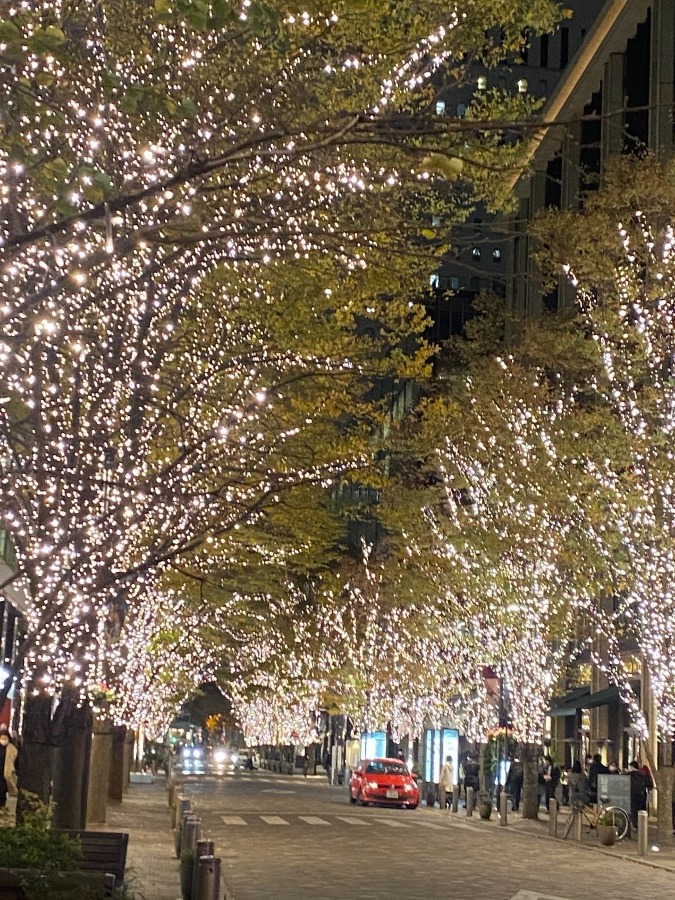 丸の内今年初イルミネーション☆