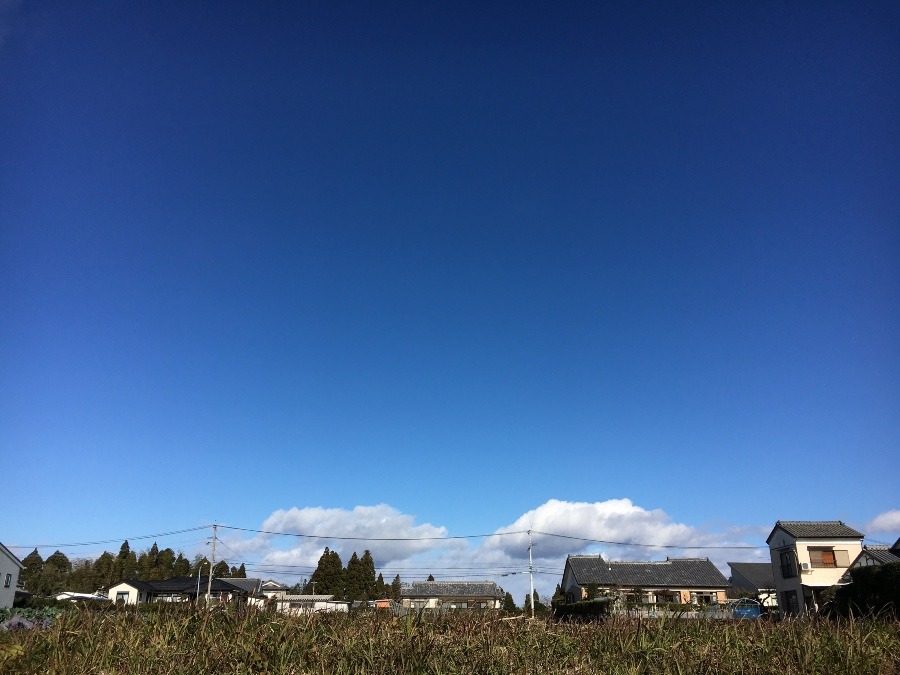 ⭕️空部→ 今日の空（≧∇≦）‼️315.