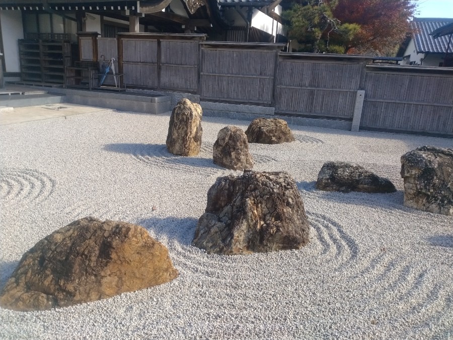 龍雲寺の境内です！東西北を山が囲み、南が開けた高台で、風はなく、暖かい場所でした。。