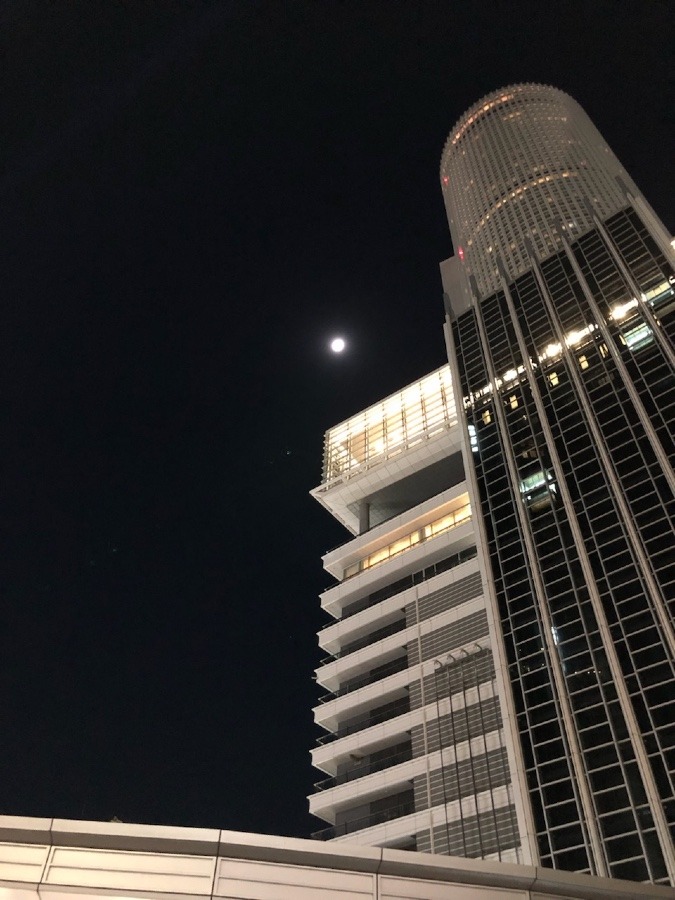 🌓今宵の