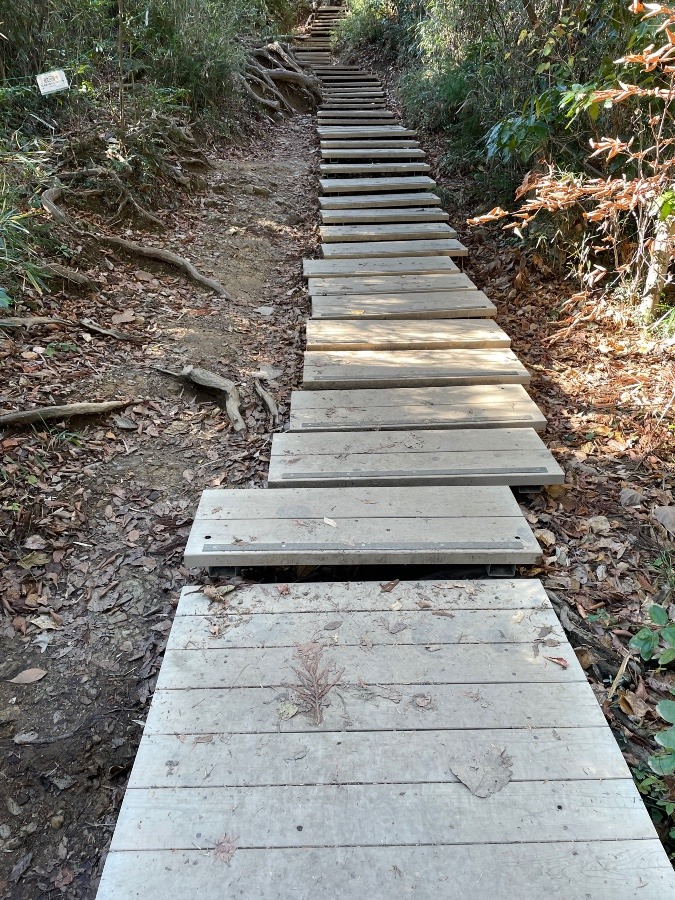 整備されたのはいいんだけど　これ登り階段　ふくらはぎパンパン　高尾山登山