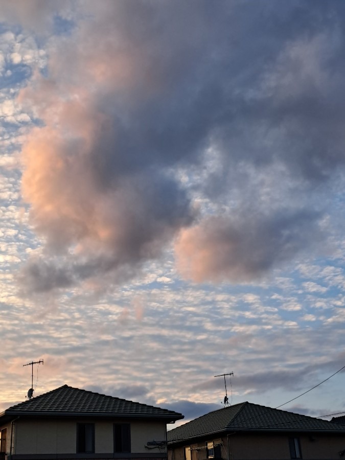 雲？　面白い