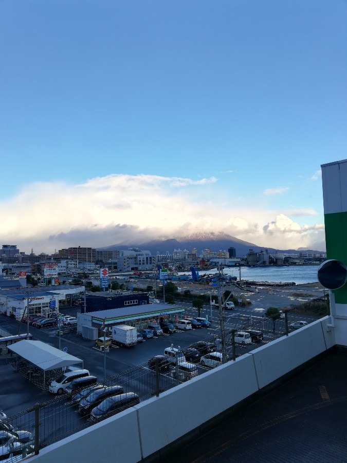 今日の桜島!