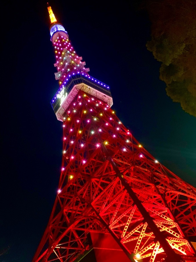 東京タワーの特別ライトアップ