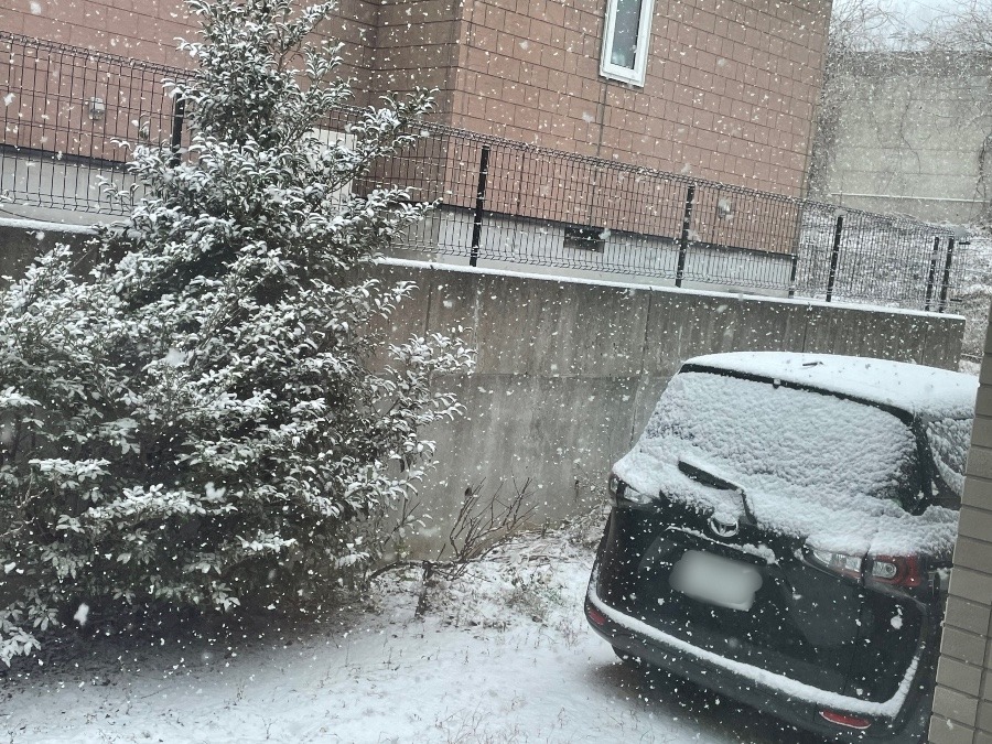 わっ！今年初の積雪⛄️❄️