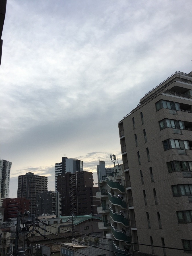 12/11 朝空