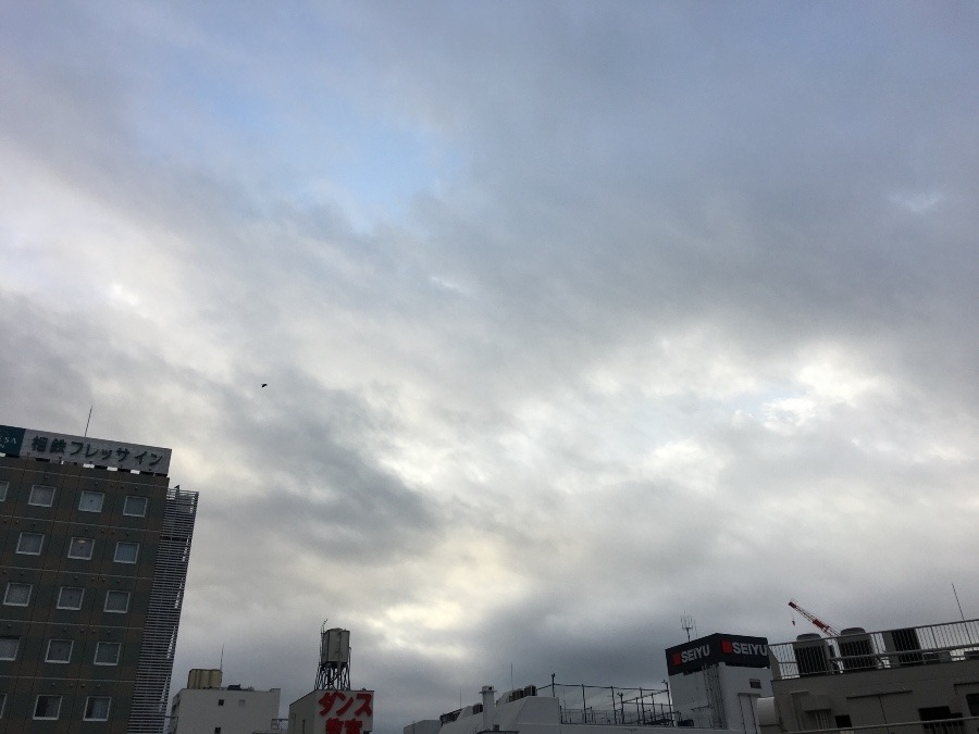 12/1 朝空