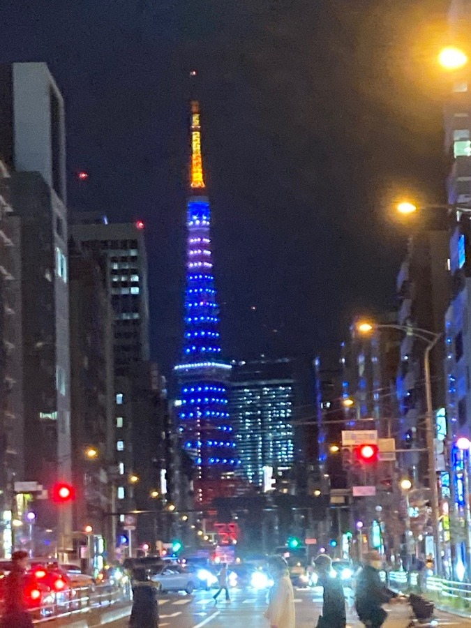 今日の東京タワー🗼