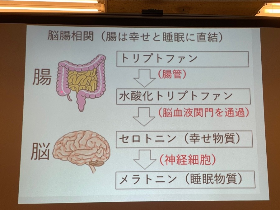 脳腸相関