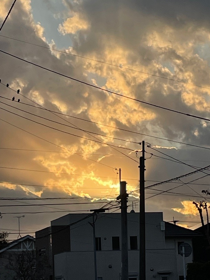 今sora
