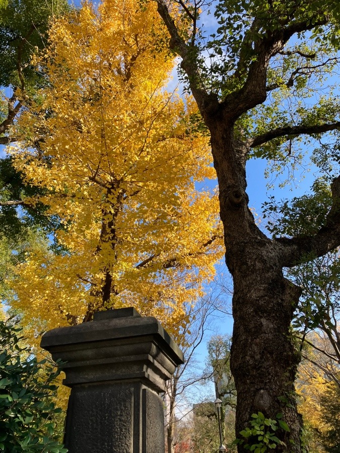 東京家庭裁判所