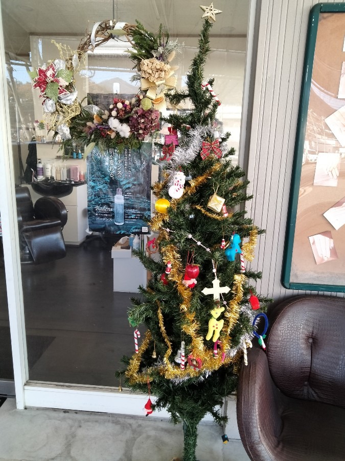 クリスマスツリー🌲