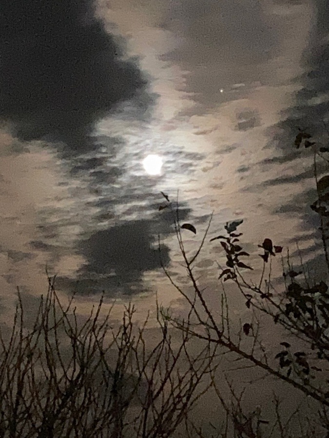 今年最後の満月🌕