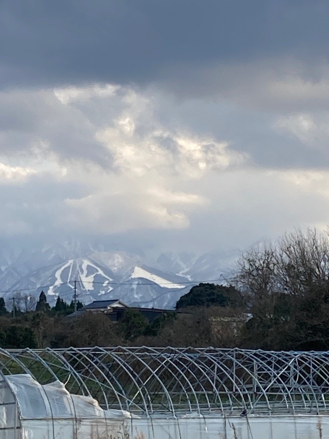 道の駅「大山恵みの里」