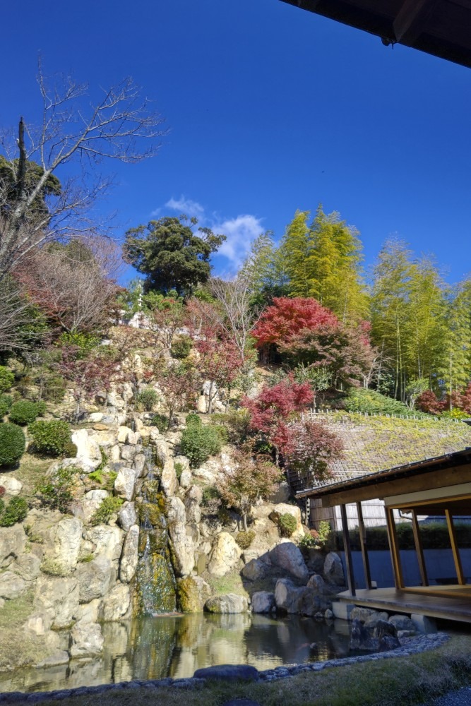 龍雲寺　清浄庭