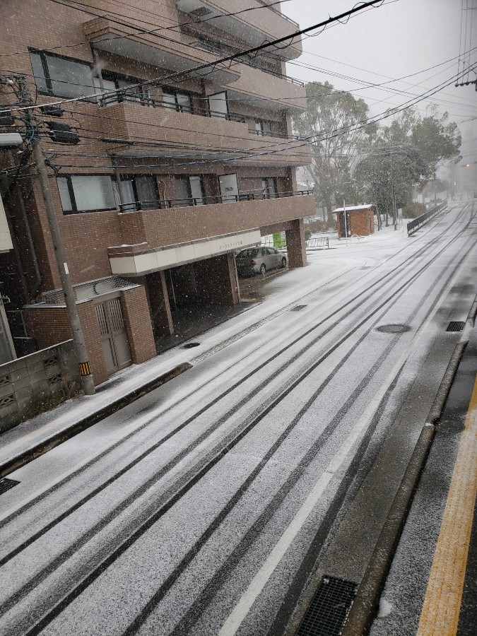 今日は、曇り時々雪