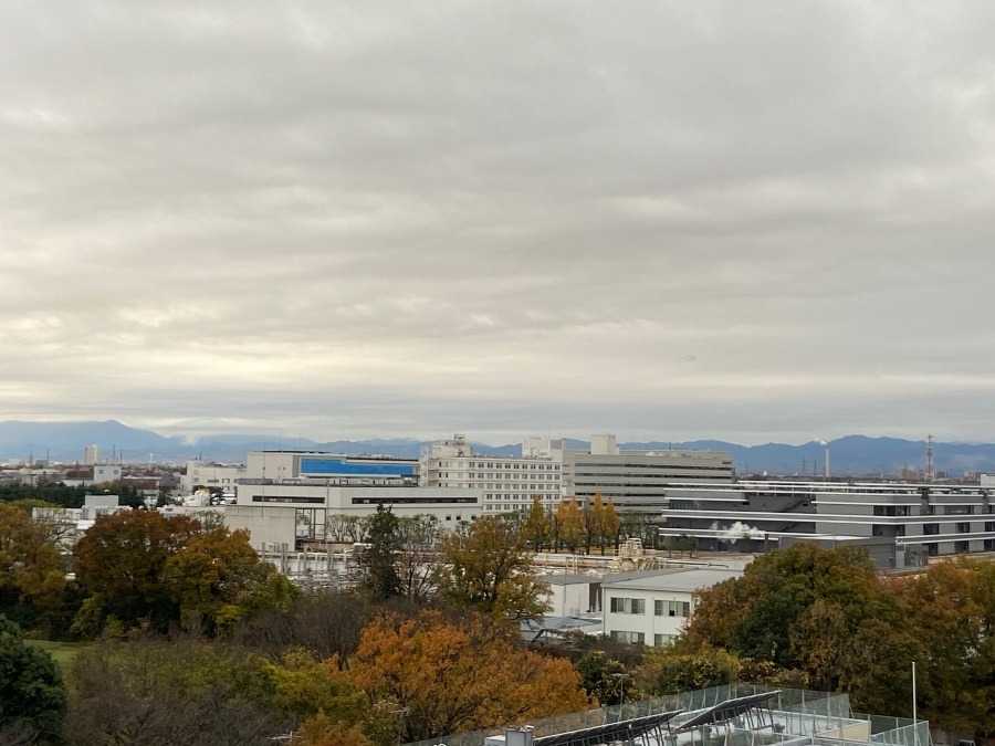 今朝の富士山