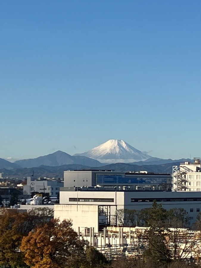 富士山元旦登頂会２０２３zoom
