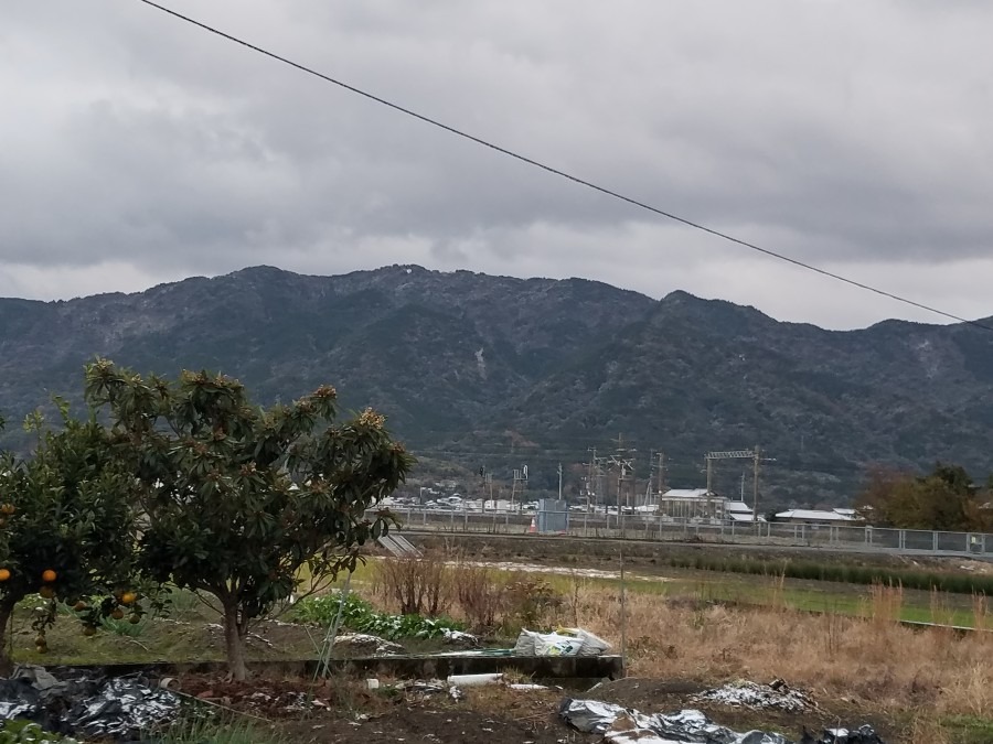 今朝の風景