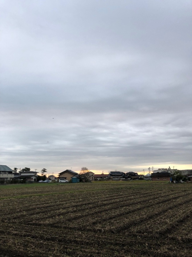 今日の朝空