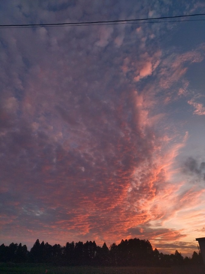 都城市（2022/12/3）今日の夕焼け😊↗️（西の空）