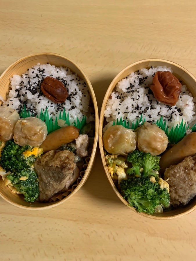 今日のお弁当