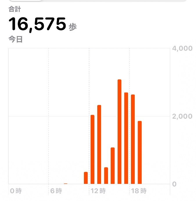 16575歩　ウォーキング12/2