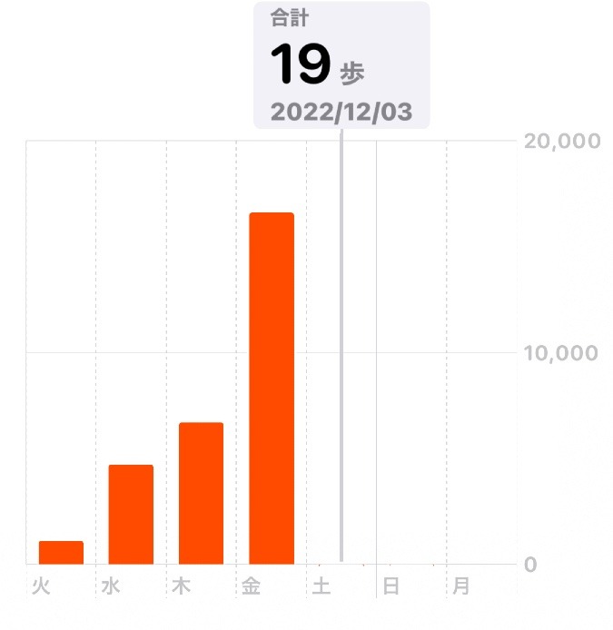 19歩？　　12/3