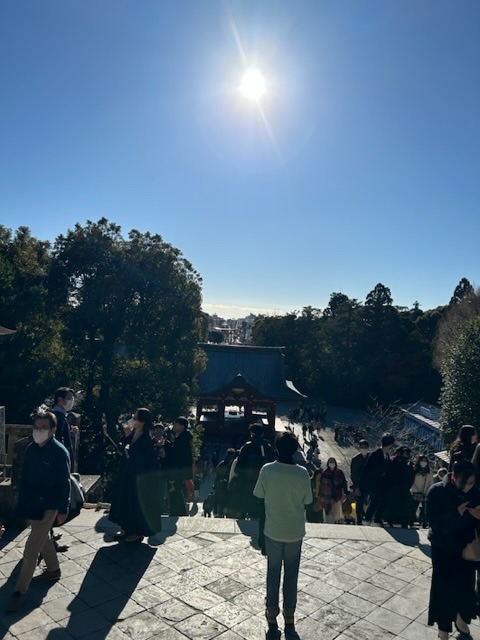 鶴岡八幡に来た