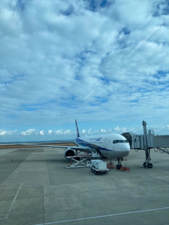 ANA796 大分→羽田