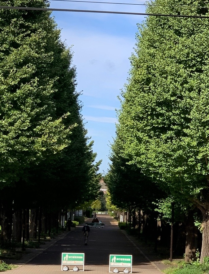 10月のとある日