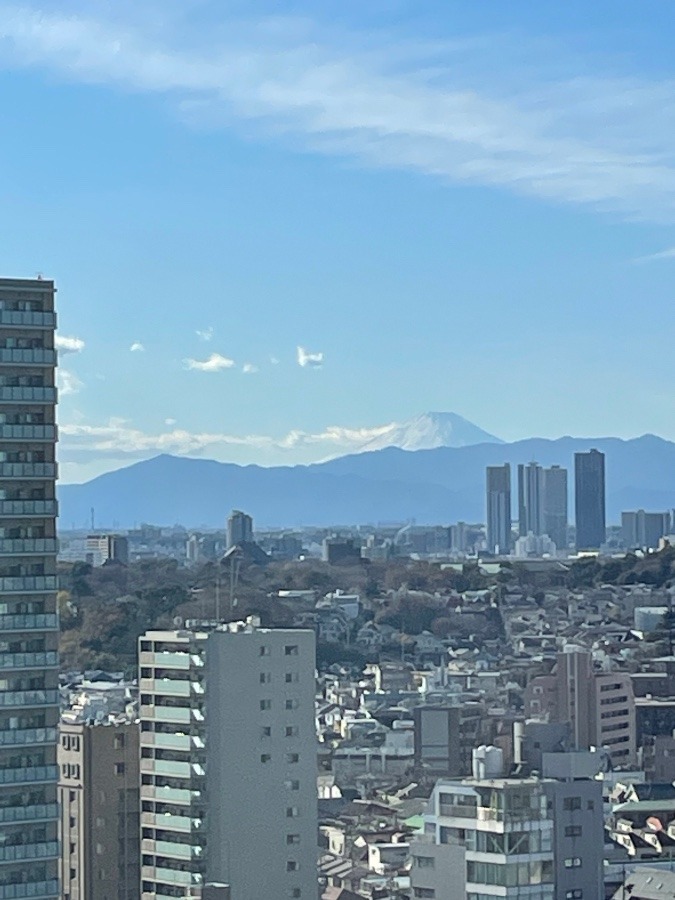 大森からの富士山