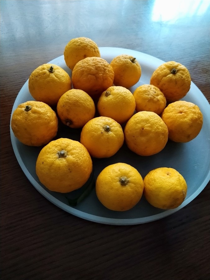 柚子酢の作り方教えてください。