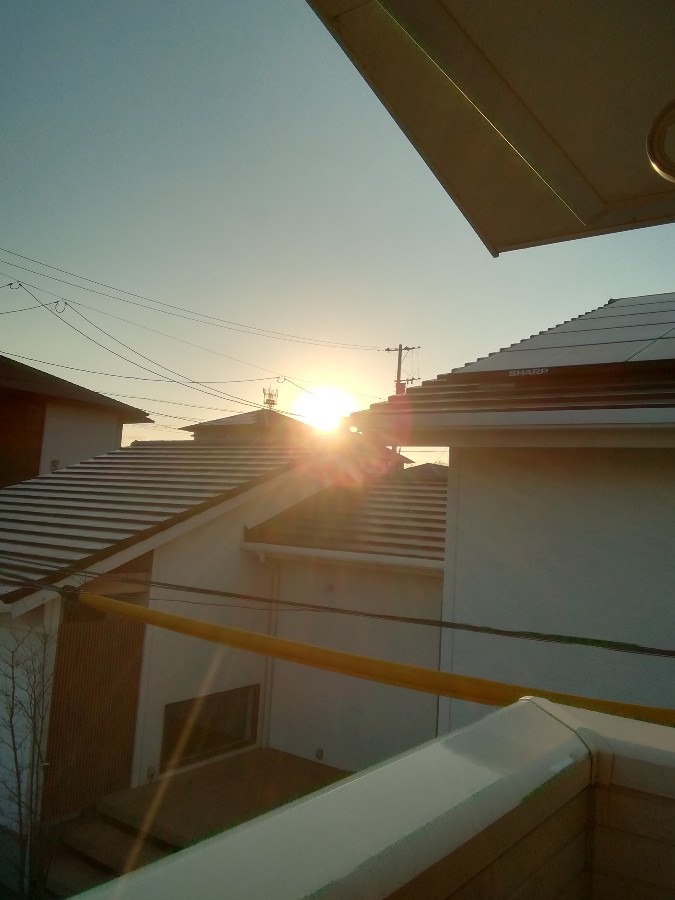 夕日