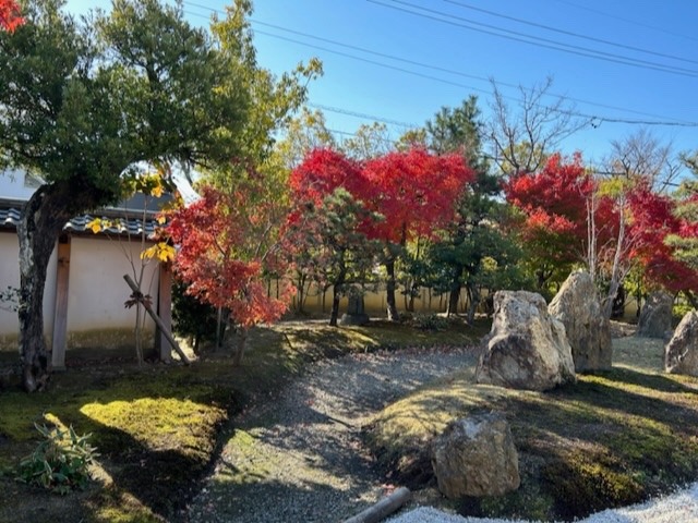 今年締めの龍雲お寺