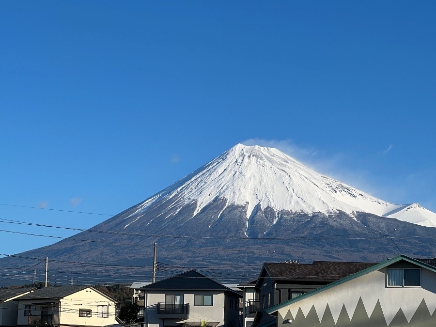 流石に真っ白です