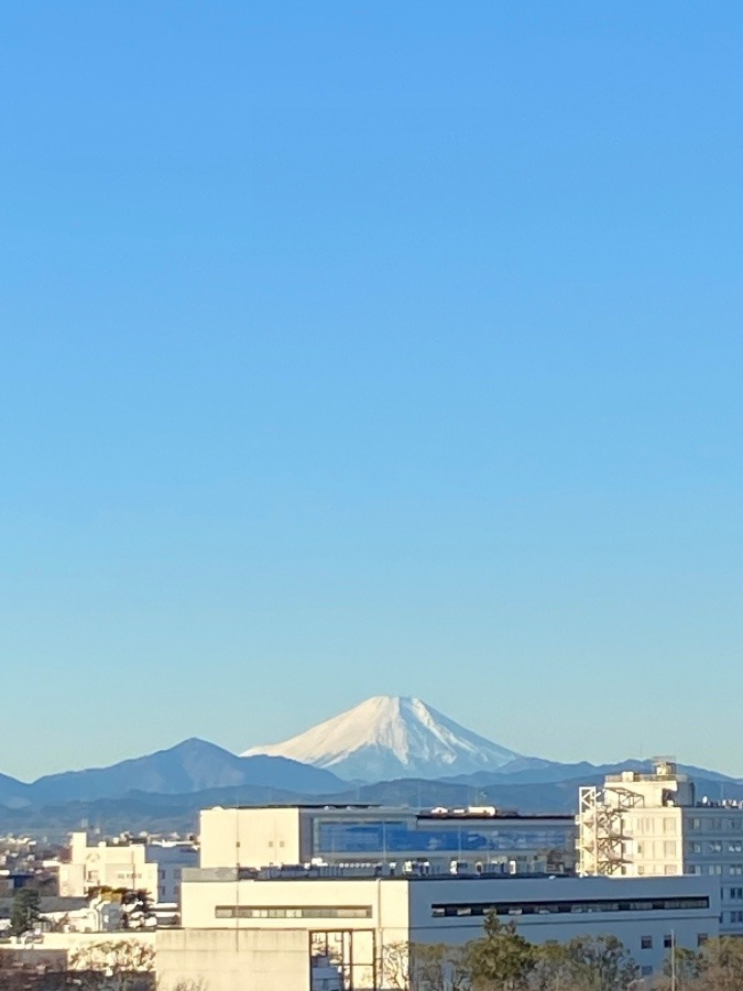 今朝の富士山