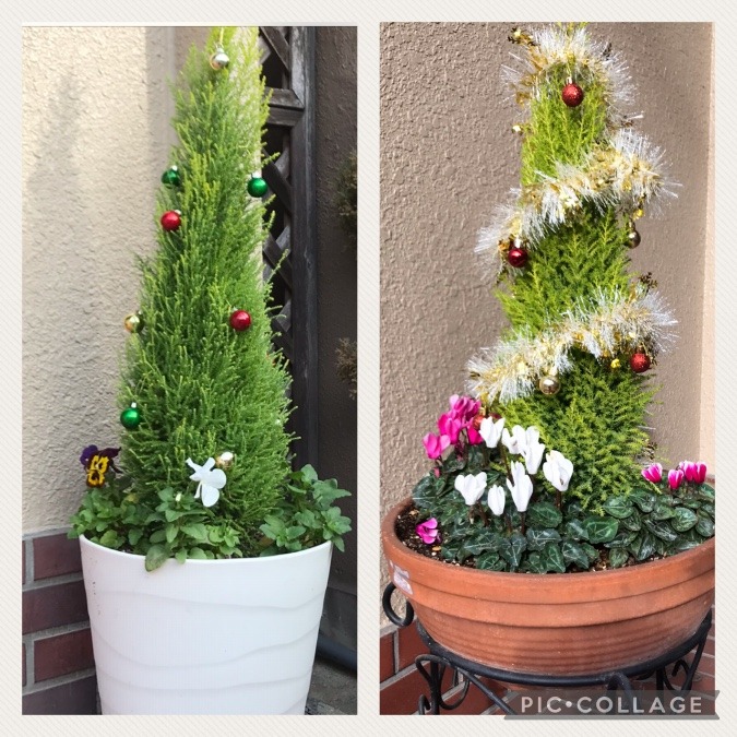 寄せ植えクリスマスバージョン〜💖