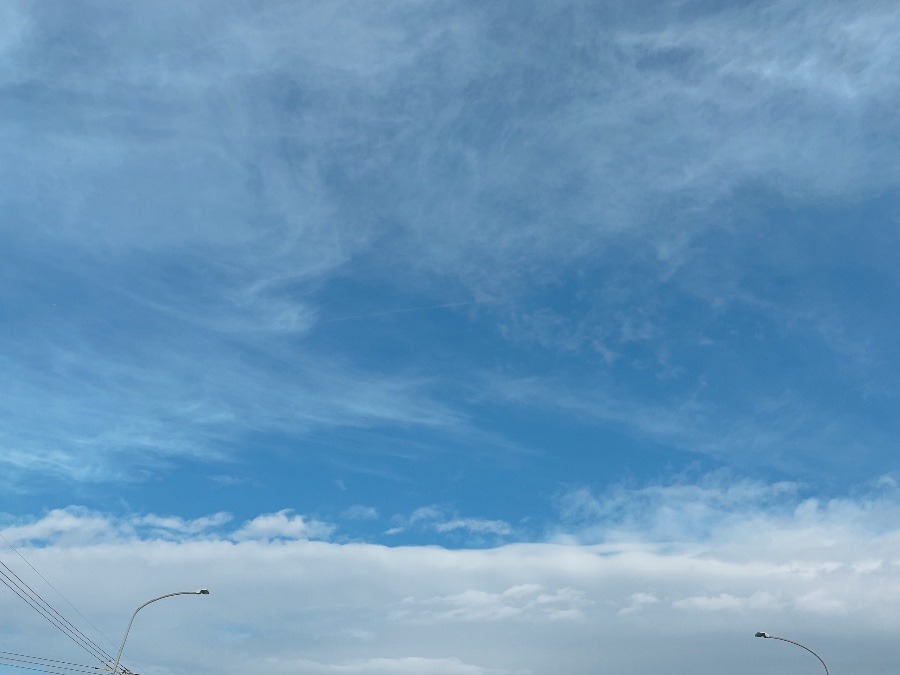 【朝の空】